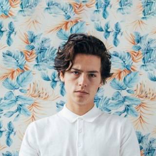 Dylan and Cole Sprouse wallpaper