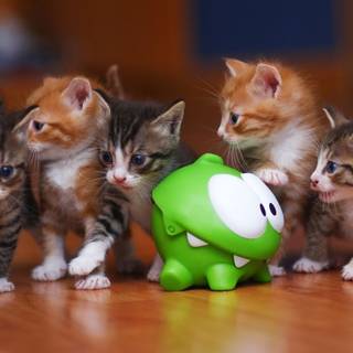 Cut the Rope wallpaper