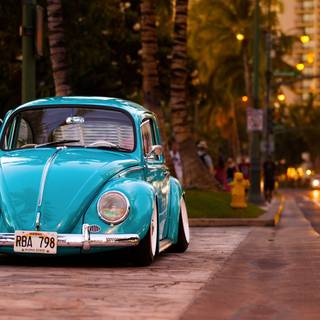 Blue slug bugs wallpaper