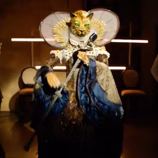 The Masked Singer costumes wallpaper