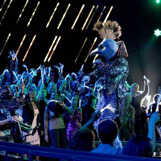 The Masked Singer costumes wallpaper