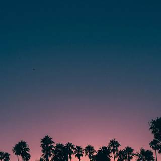 1080x1920 mobile wallpaper