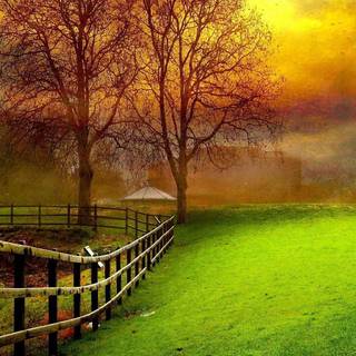 Nature Full HD Android wallpaper