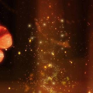 Magical light wallpaper