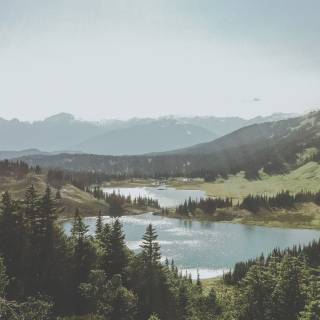 Into the Wild iPhone wallpaper