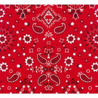 Red bandana computer wallpaper