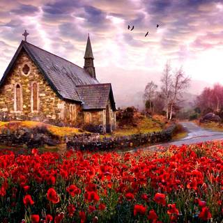 Irish spring wallpaper