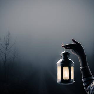 Girl with lantern wallpaper