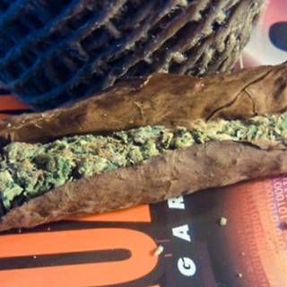 Backwoodz computer wallpaper