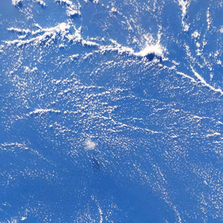 1080x2340 Fierce mobile wallpaper