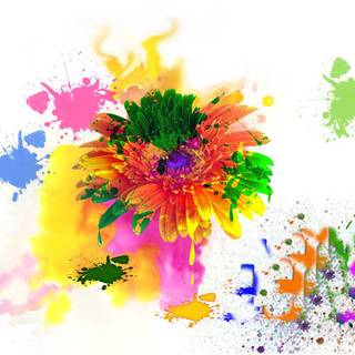 Holi rang colour wallpaper