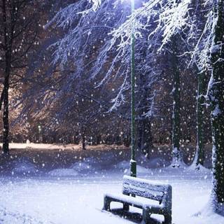 Winter park wallpaper