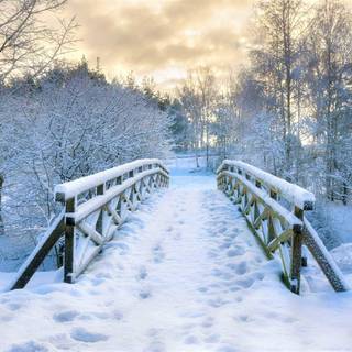 Winter park wallpaper