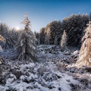 Winter Bulgaria wallpaper