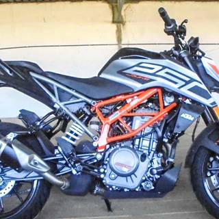 Duke 390 BS6 wallpaper