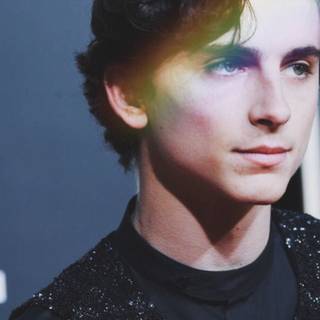 Timothee Chalamet aesthetic wallpaper