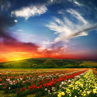 Valley of flowers wallpaper