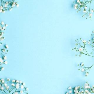 Cute phone wallpaper