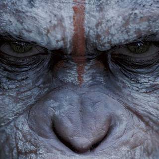 Planet of The Apes villains wallpaper