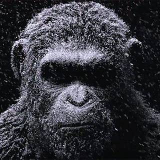 Planet of The Apes villains wallpaper