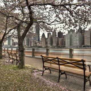 New York spring wallpaper