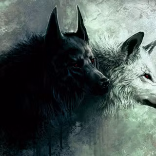 Yin and yang wolves wallpaper