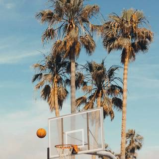 Basketball on beach wallpaper