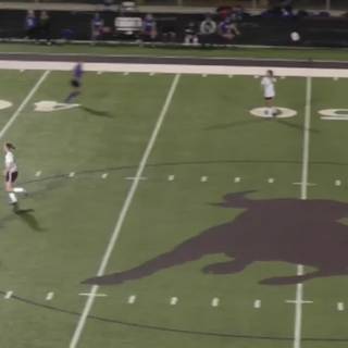 Bridgeport bulls wallpaper