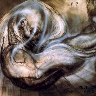 Metamorphosis wallpaper