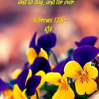 Hebrews 13:8 wallpaper