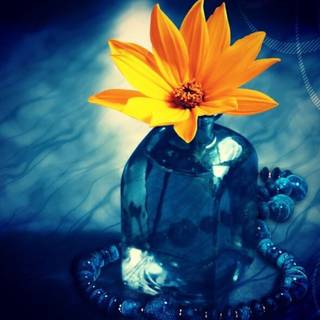 Mahadev HD computer wallpaper