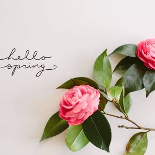 Spring ahead wallpaper