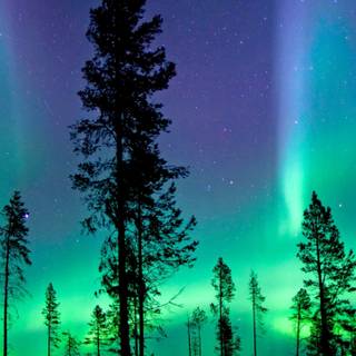 Amoled 4k Aurora wallpaper