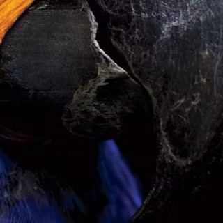 Motorola One Power wallpaper