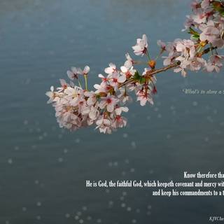 Deuteronomy 6 wallpaper