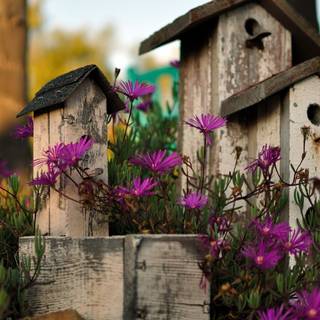 Spring house gardens wallpaper