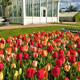 Spring house gardens wallpaper