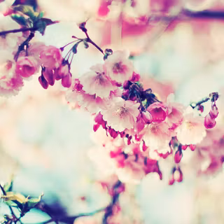 Sunny spring wallpaper