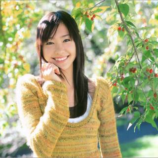 Aragaki Yui desktop wallpaper