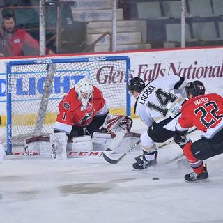 Springfield Thunderbirds wallpaper