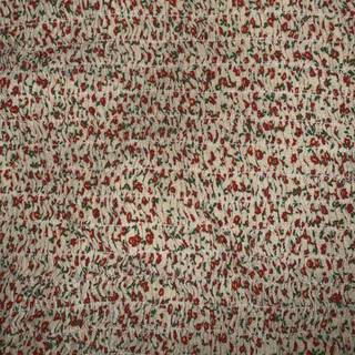 Brandy Melville wallpaper