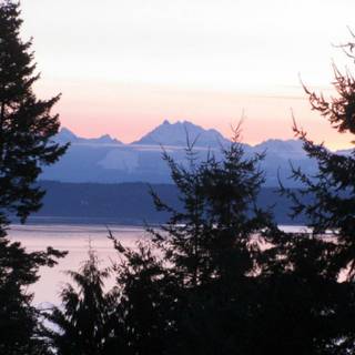 Jasmine Dancing In The Desert Sunset wallpaper