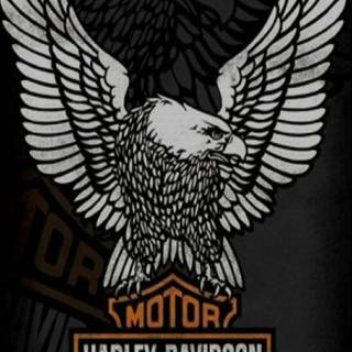 Harley Davidson logo phone wallpaper