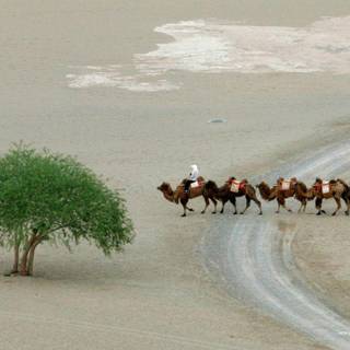 Santa banta wallpaper nature HD