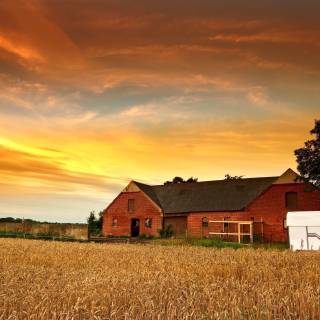 Farmers HD desktop wallpaper