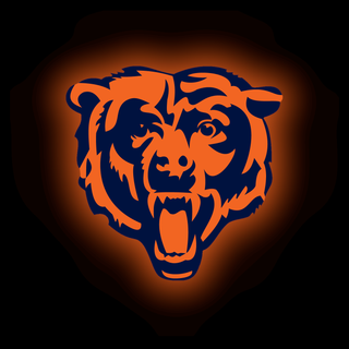 Lion pictures amoled wallpaper