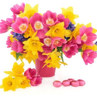 Yellow hyacinths flowers wallpaper