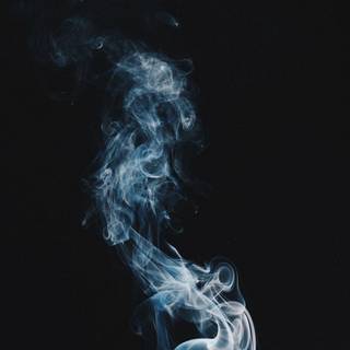 1080x2400 smartphone wallpaper