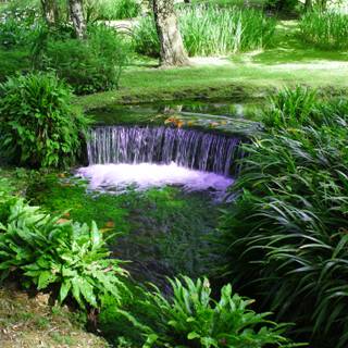 Latina Italy wallpaper