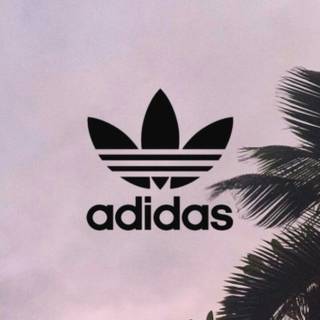 Hipster HD iPhone wallpaper